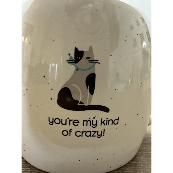 You're My Kind Of Crazy- Karma Gifts Cat Tapered Mug, 5.1-inch Length,Mugs - Picture 6 of 7